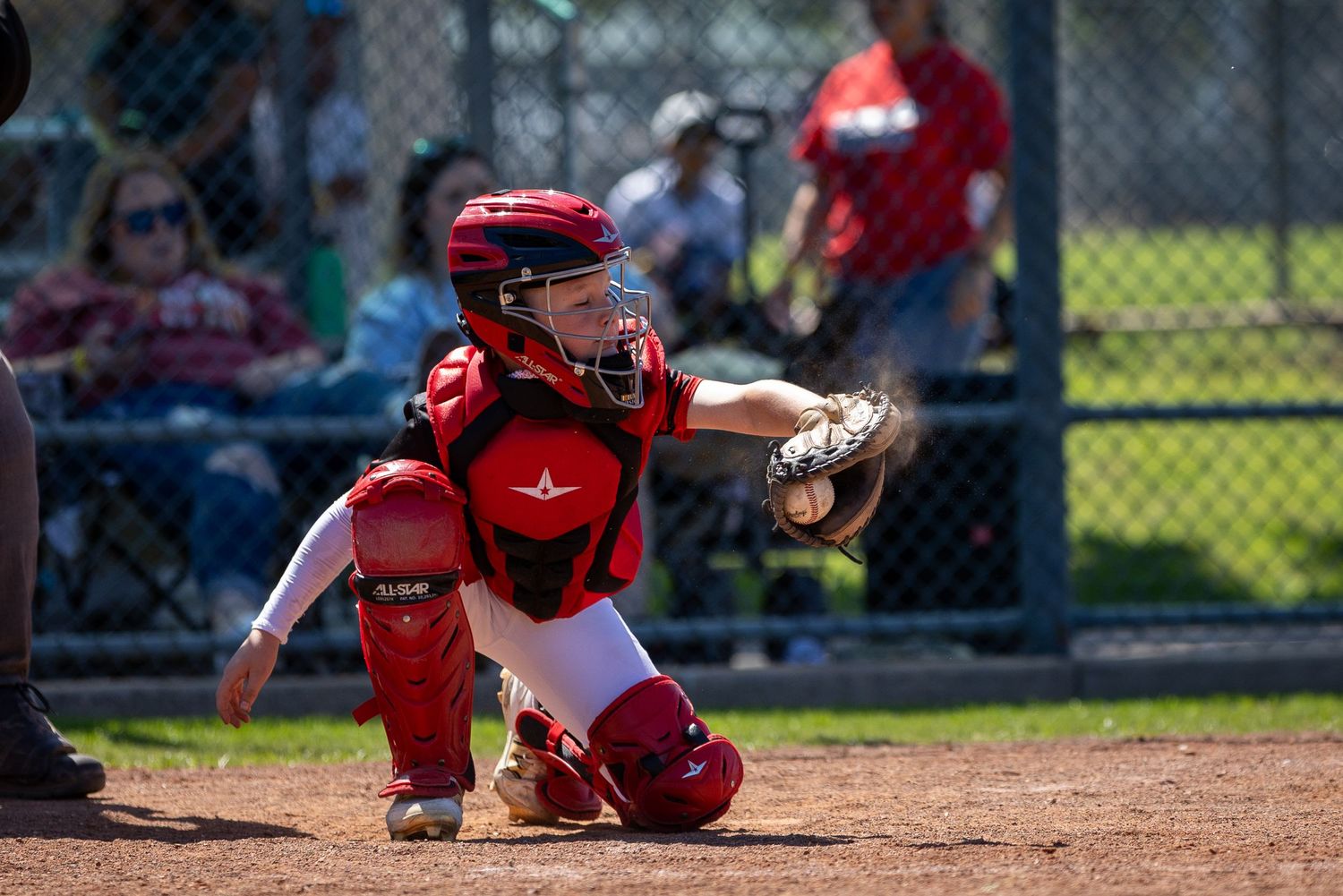 Drew Arnold Photography Catcher Baseball photo