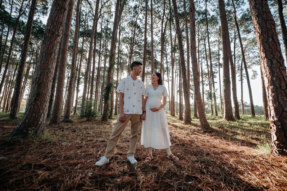 Two people stand together on pine needle covered ground in a sunlit forest of tall pine trees.