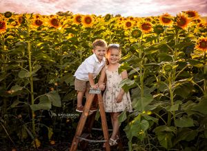 Two young siblings smiling on ladder in vibrant sunflower field at sunset.