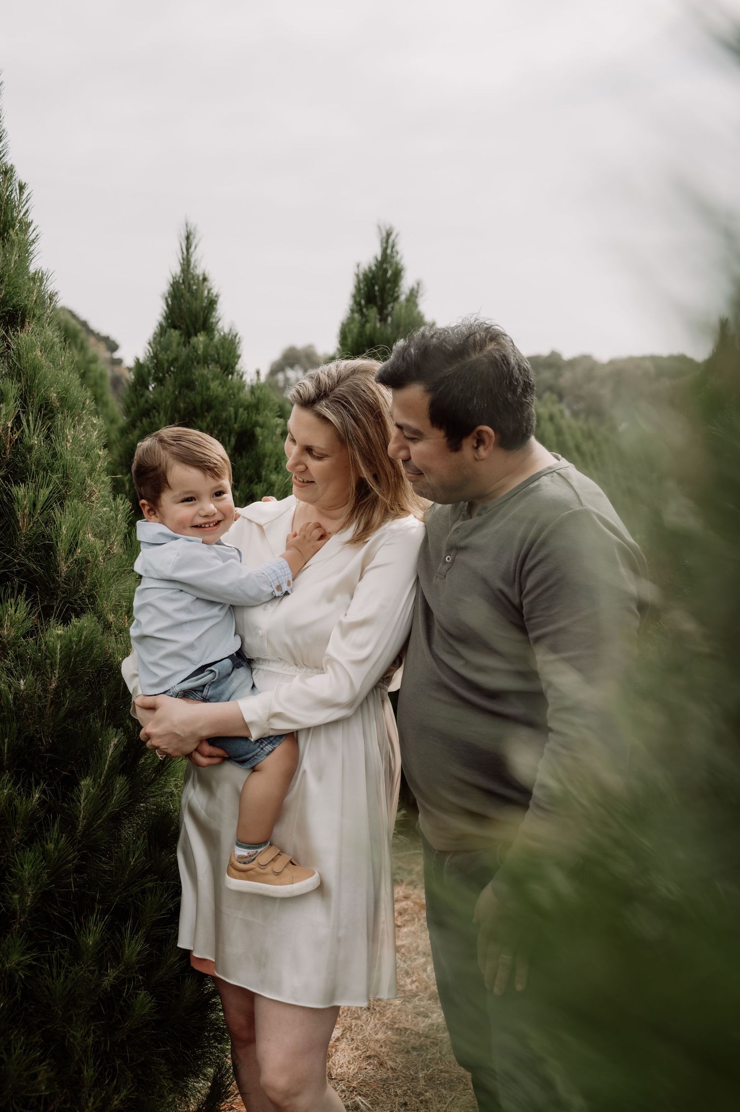 A family enjoys a tender moment together among evergreen trees at what appears to be a Christmas tree farm.