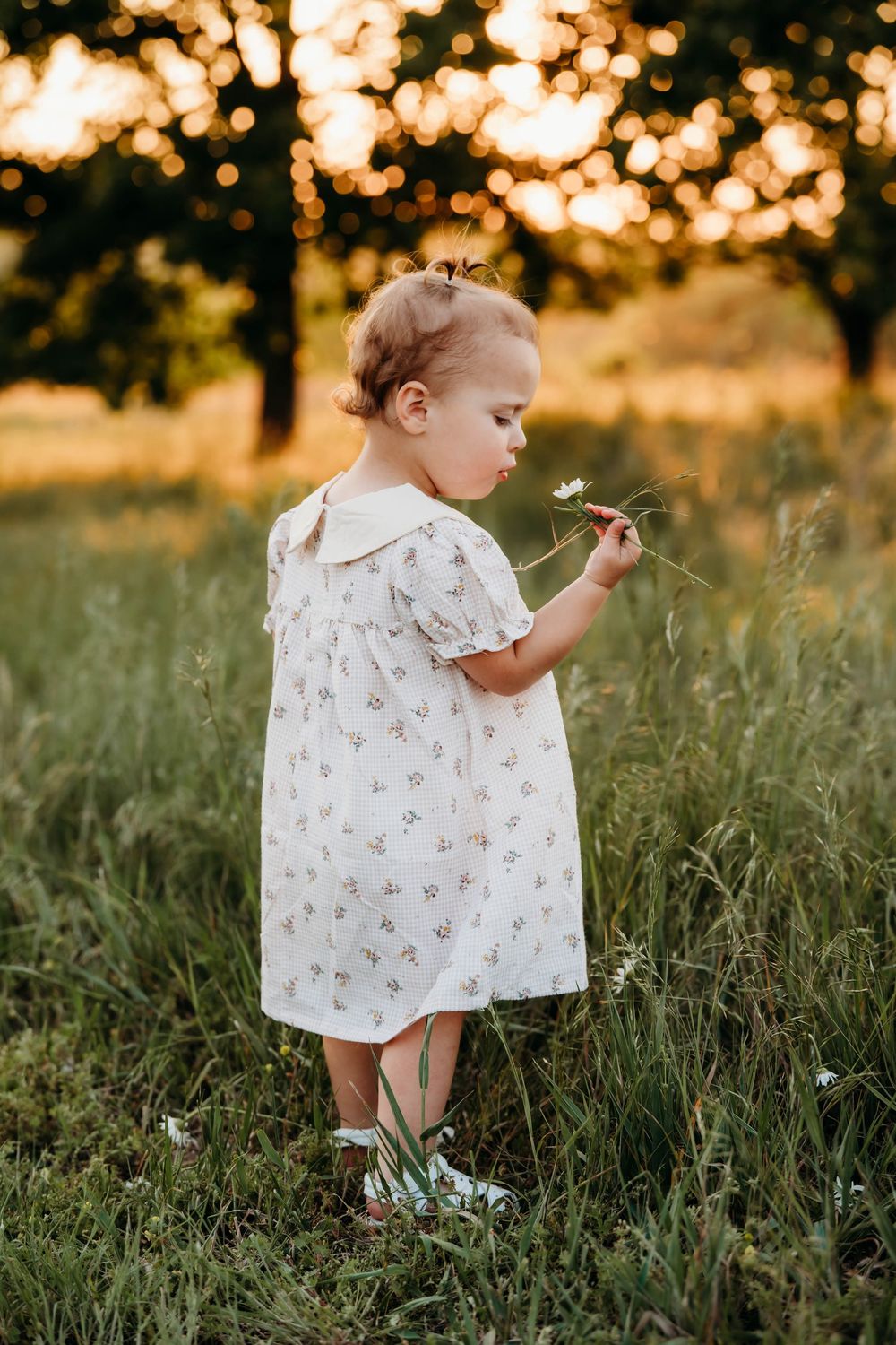 Toddler girl in floral dress holding a wildflower in a sunlit meadow at golden hour.