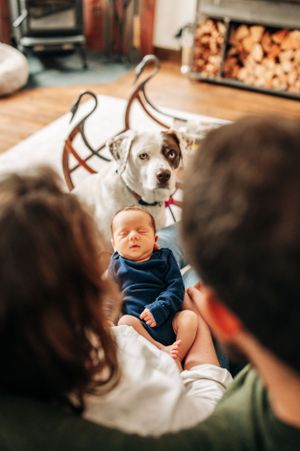 Sleeping baby in navy outfit with curious white dog watching nearby.