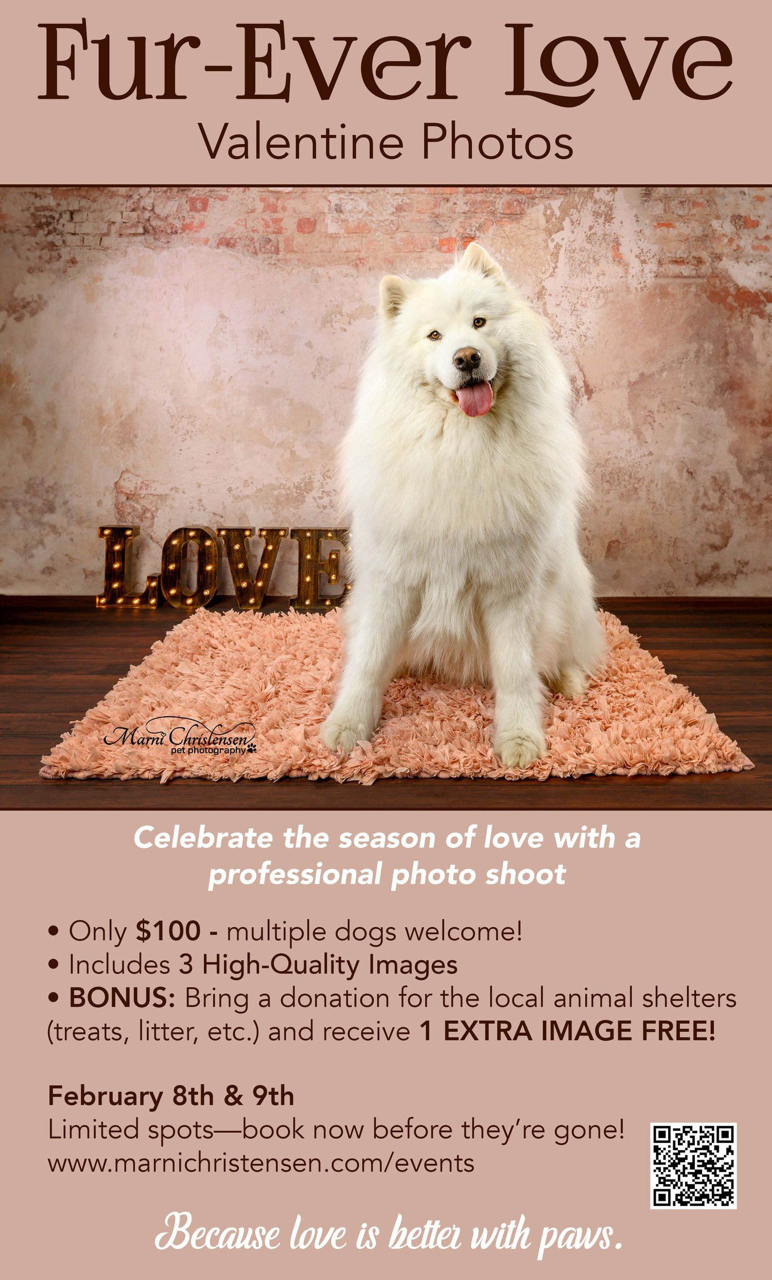 White Samoyed dog sitting on pink rug with LOVE sign advertising Valentine's Day pet photo sessions.