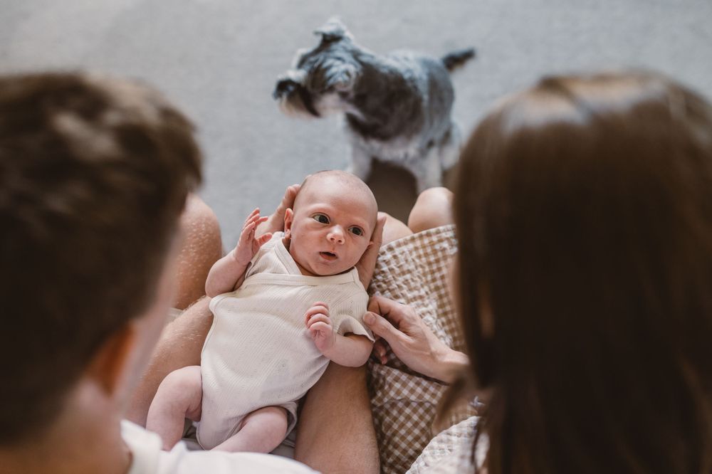A tender moment between parents and newborn baby with a dog in the background.