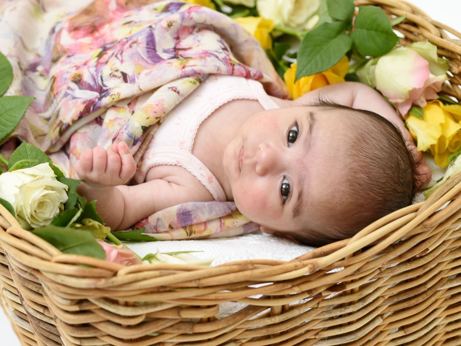 A newborn baby girl peacefully resting in a floral basket filled with roses, photographed by Abigail's Studio in Buckinghamshire