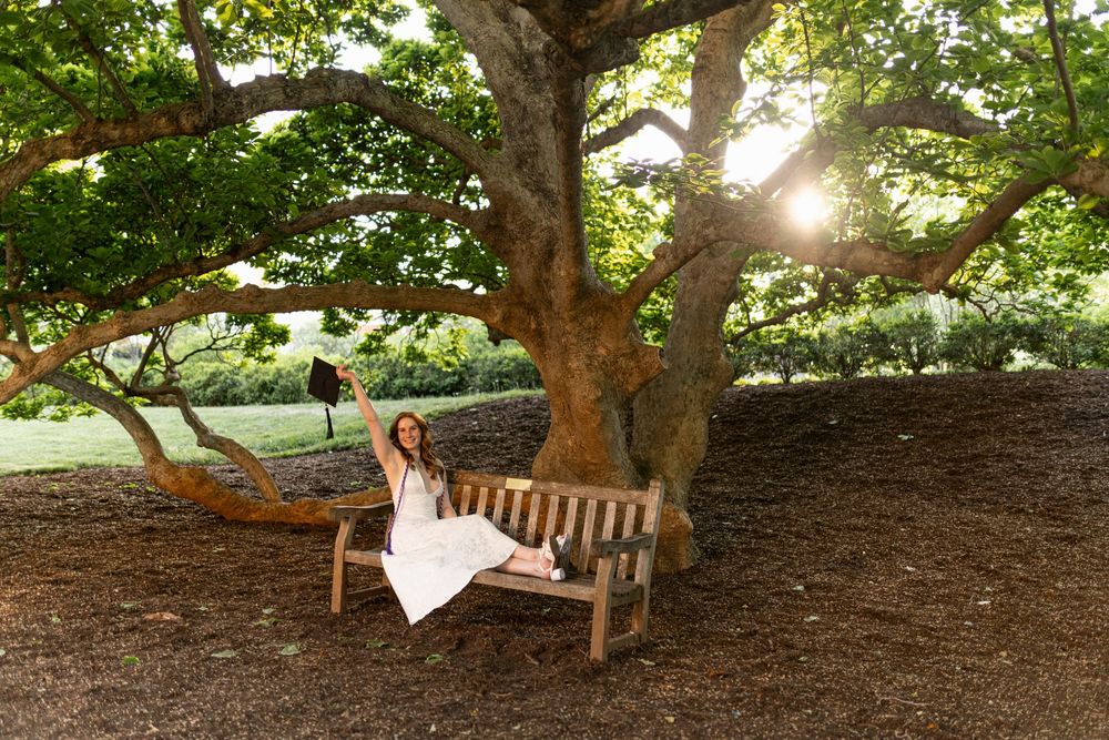 Woman in white dress sitting on wooden bench under large tree with sunlight filtering through green leaves.