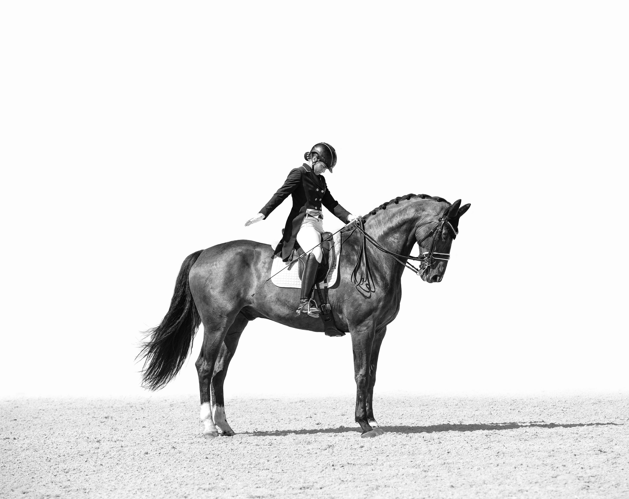 equestrian portraiture