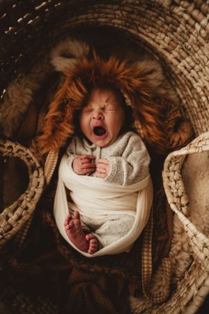 studio  newborn session, natural light, props Mid North Coast