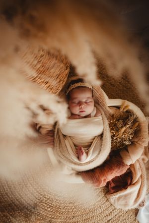 studio  newborn session, natural light, props Mid North Coast