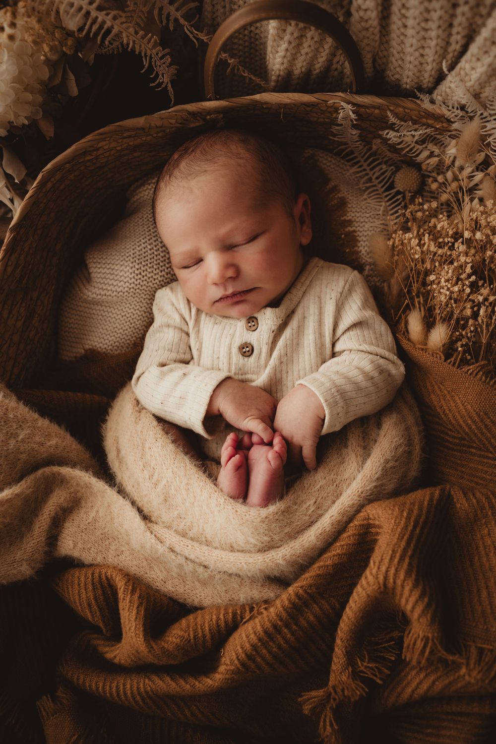 studio  newborn session, natural light, props Mid North Coast