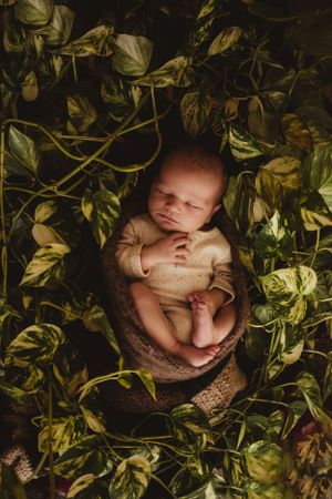 studio  newborn session, natural light, props Mid North Coast