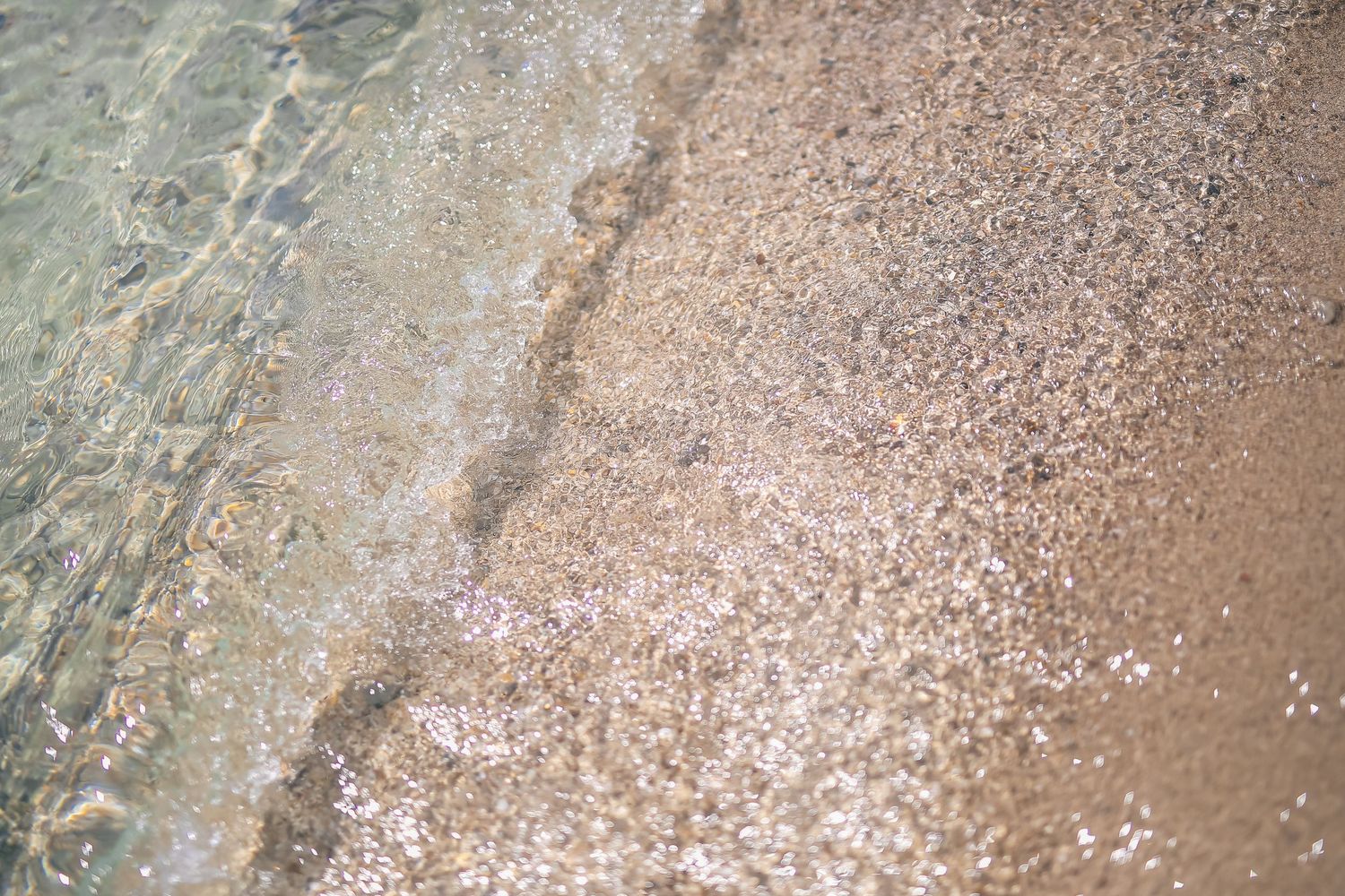 Textured surface showing fine, granular particles in a beige and grey pattern.