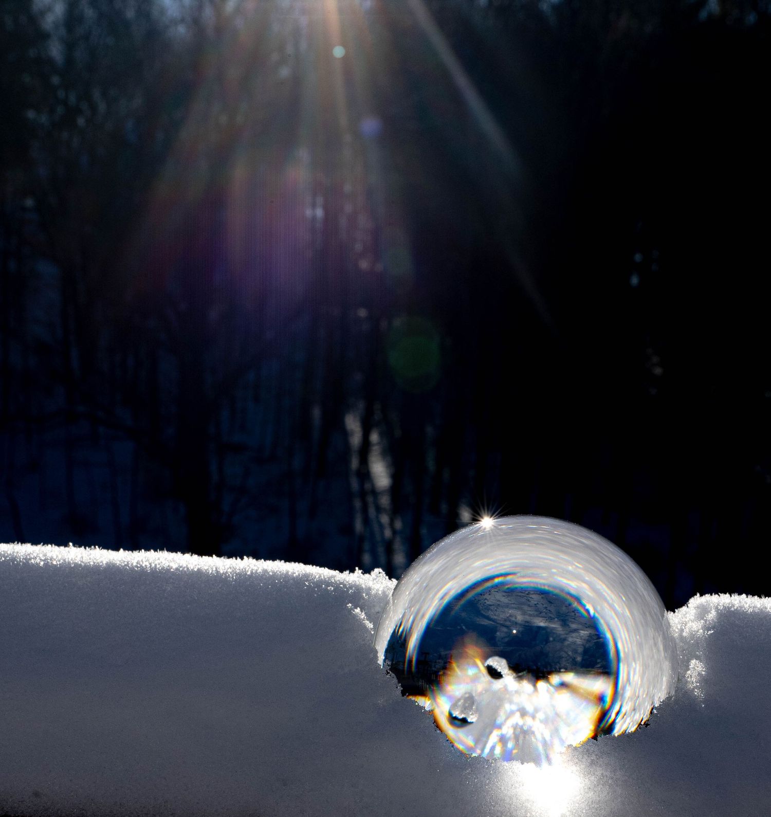 Crystal ball on snow creates unique light refraction with sunbeams in winter forest.
