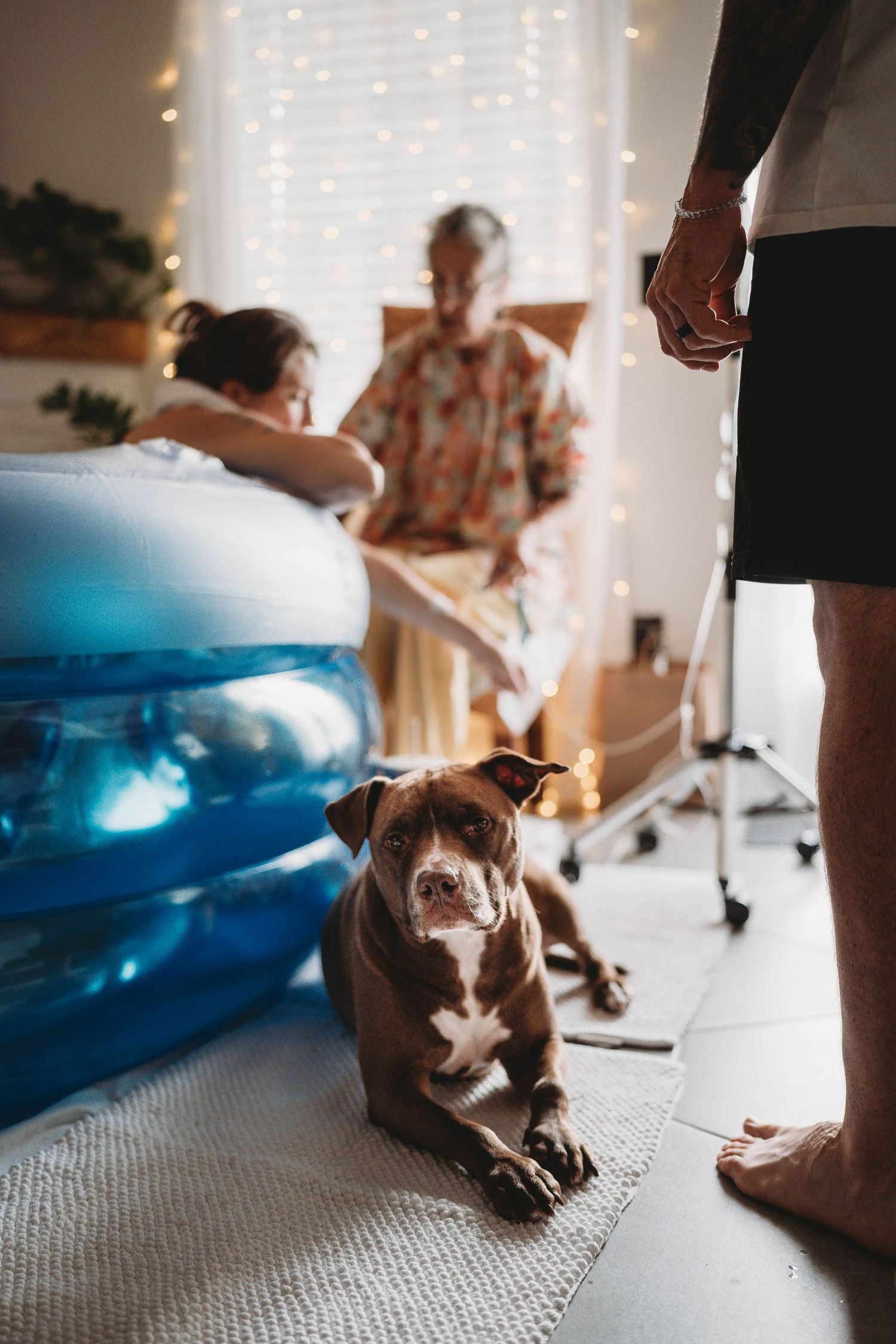 Brown dog lies on floor near birth pool during home labor preparation.