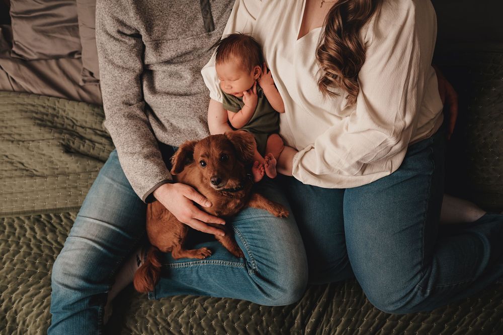A series of photos showing someone embracing and playing with a small brown-colored dog on a textured floor.