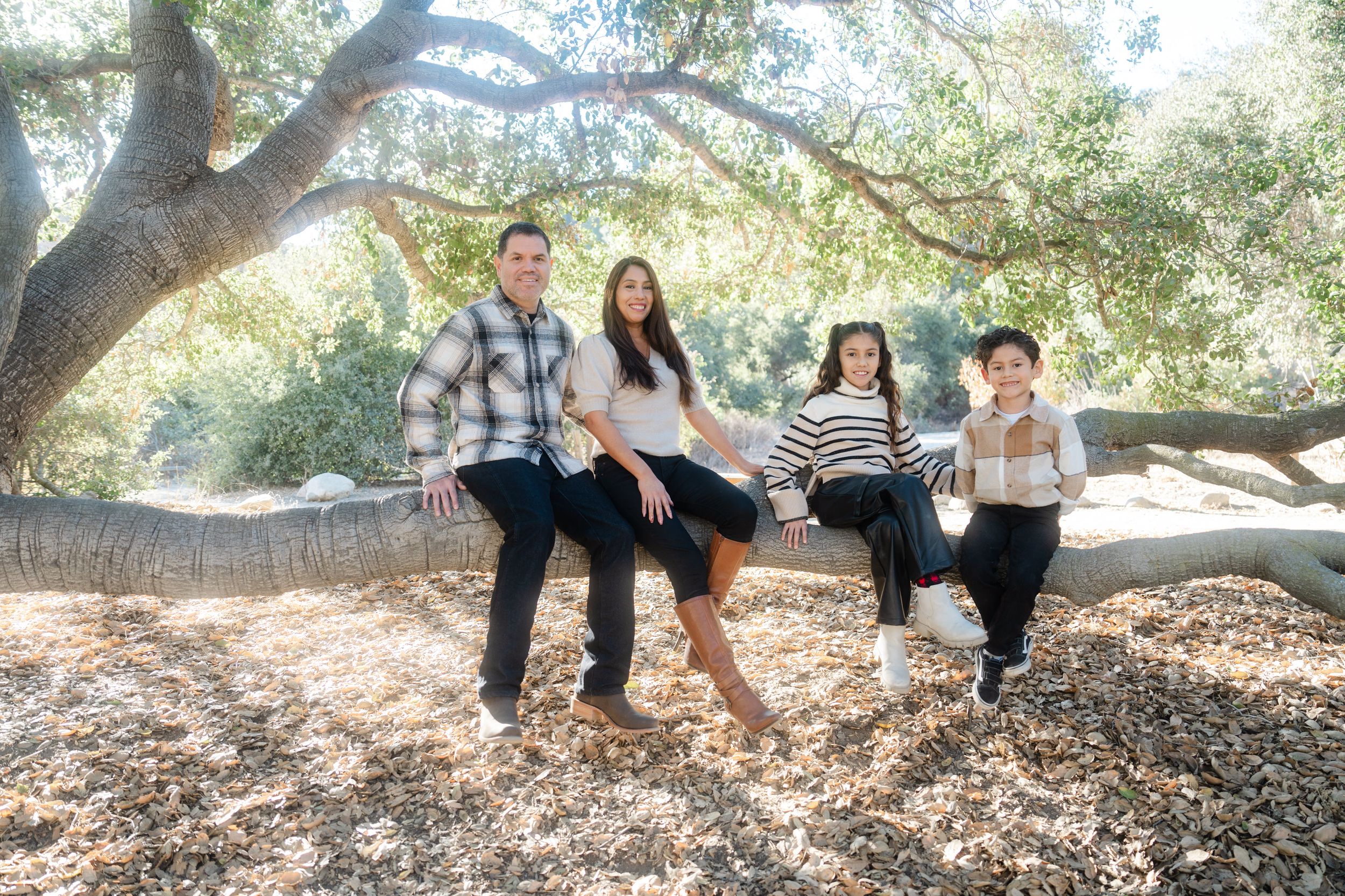 Family members sit together on large twisted tree branches in a peaceful outdoor setting during a photo session.