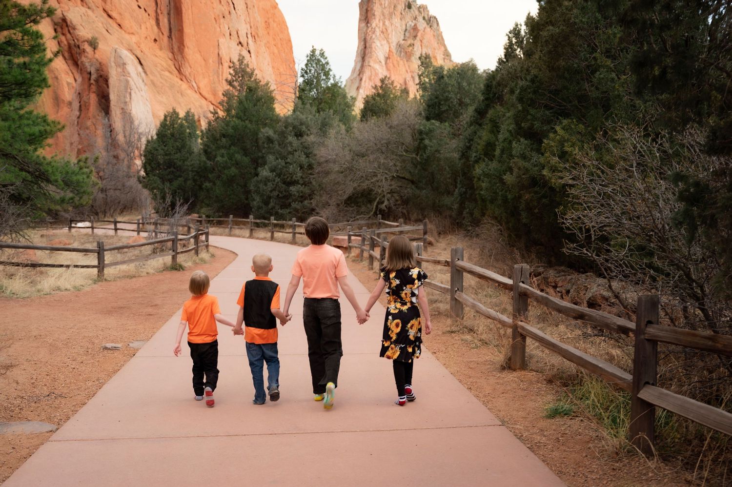 Castle Rock Newborn, maternity, family and children photographer