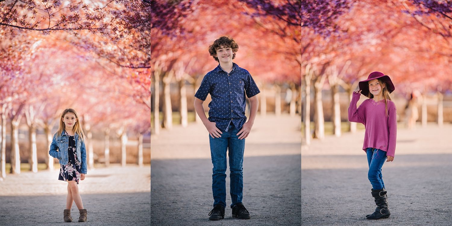 Utah State Capitol Blossoms Family Session