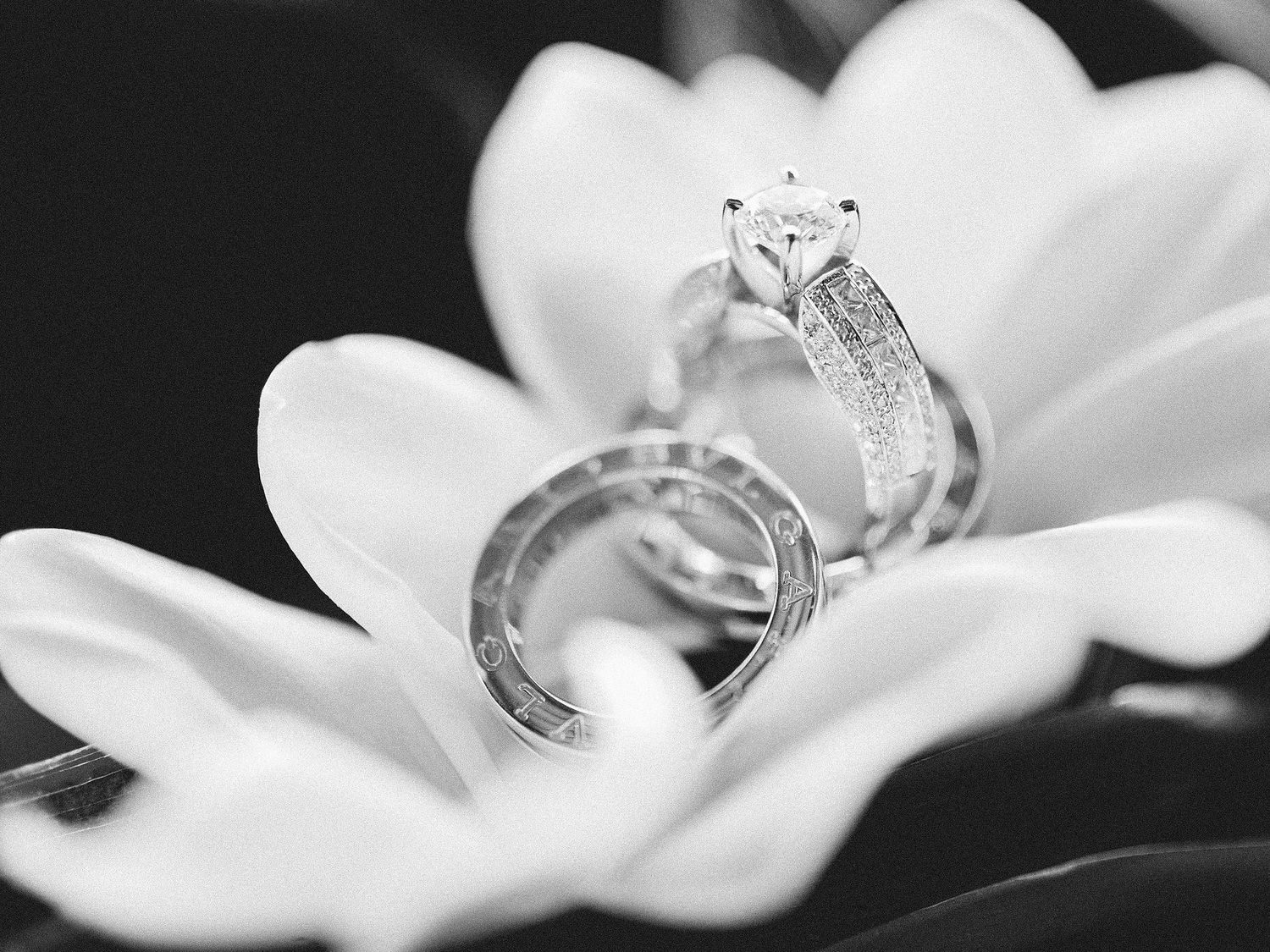 Opulent Bulgari wedding rings exhibited at Bulgari Resort Bali.