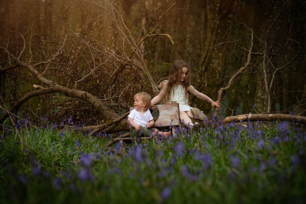 Bluebell Forest Boyle