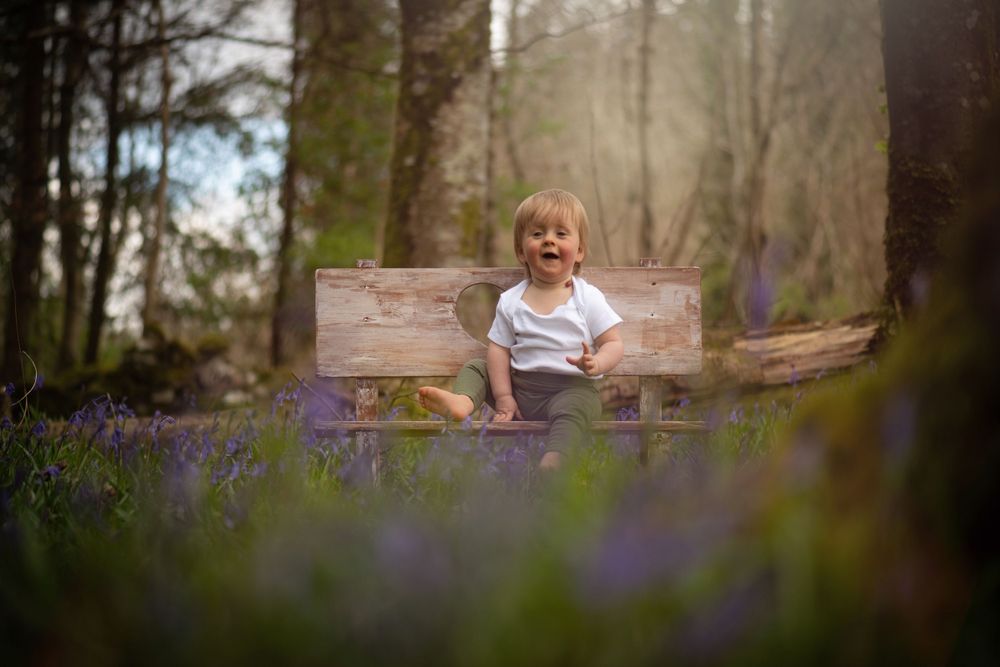 Bluebell Forest Boyle