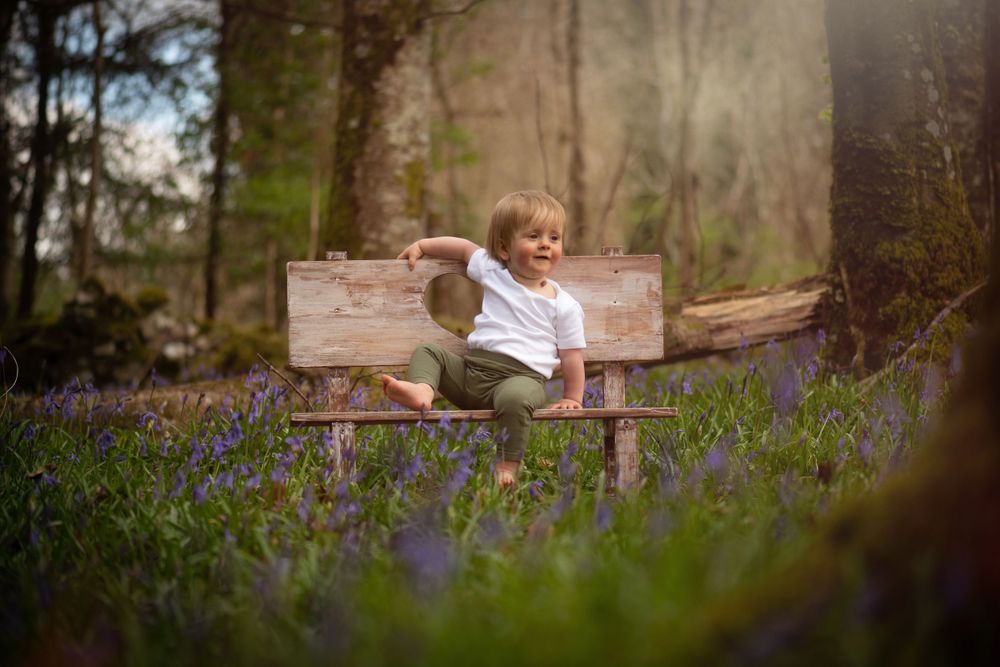 Bluebell Forest Boyle