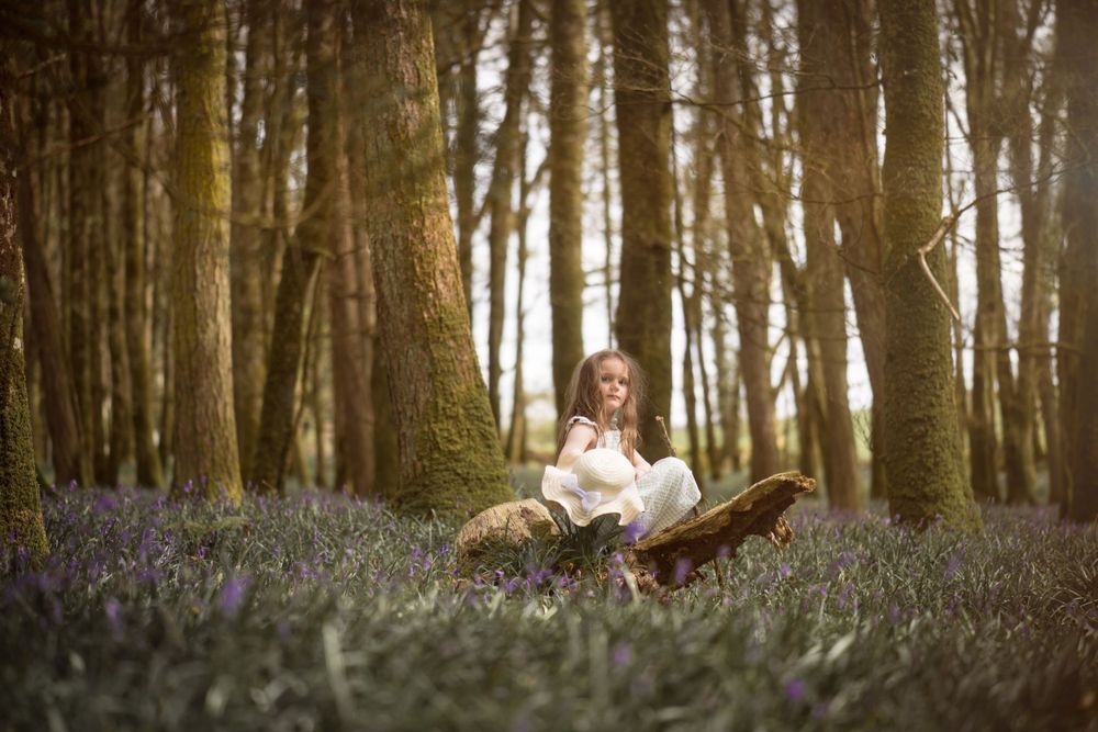Bluebell Forest Boyle