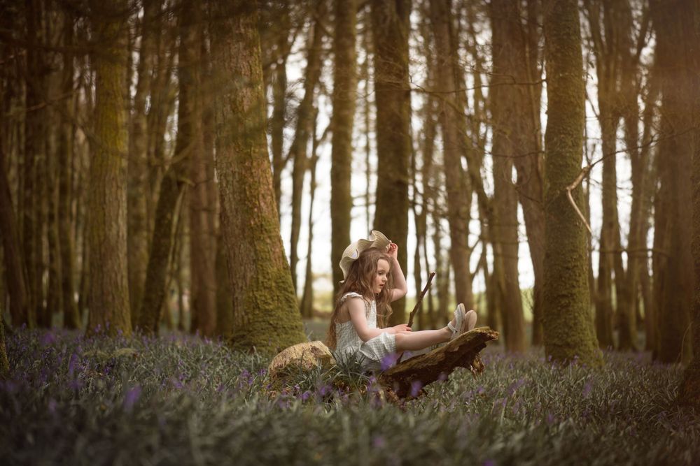 Bluebell Forest Boyle