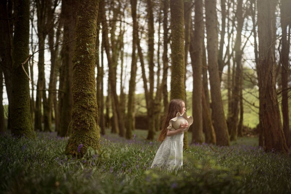 Bluebell Forest Boyle