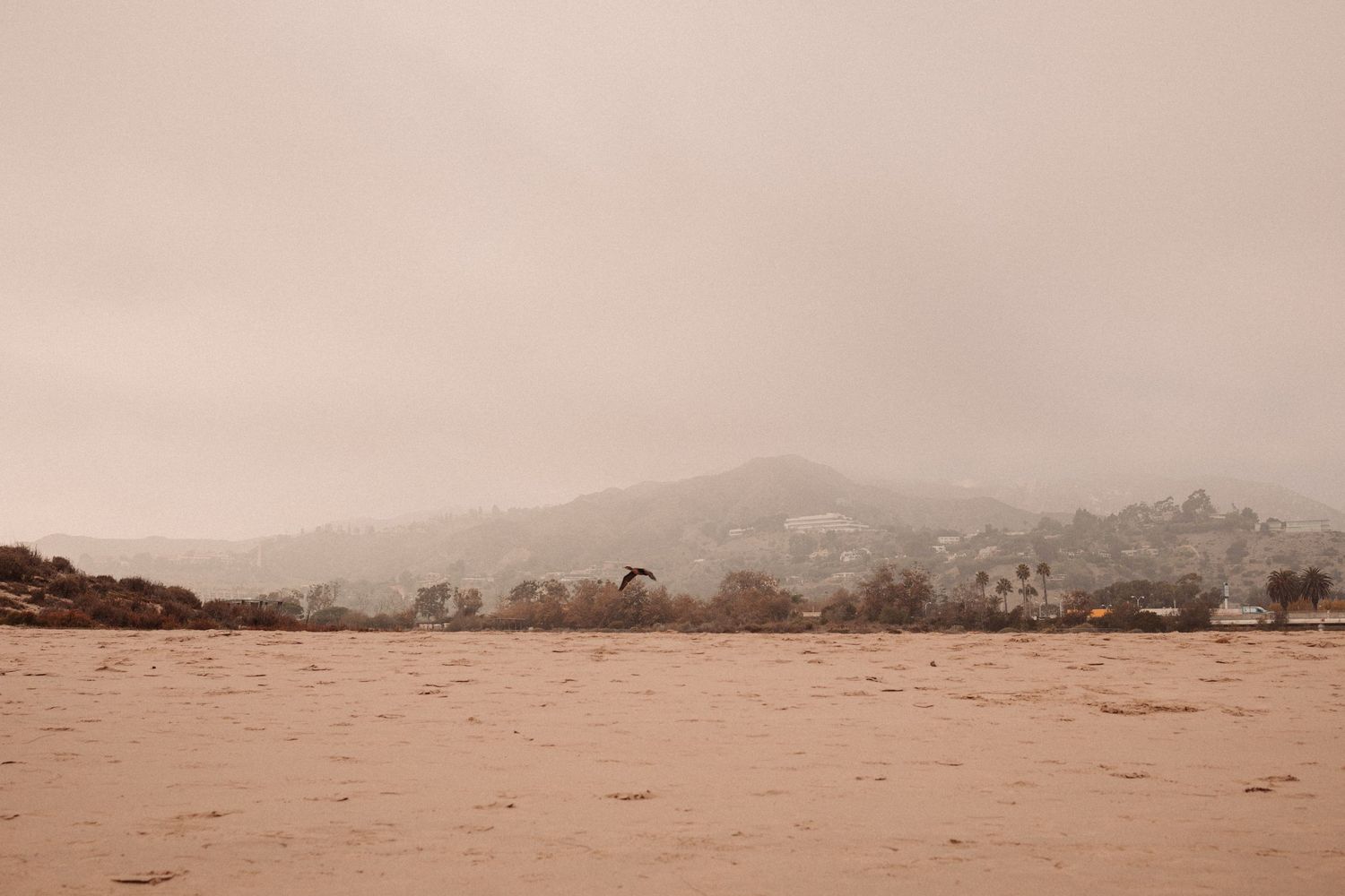 California Mountain photo