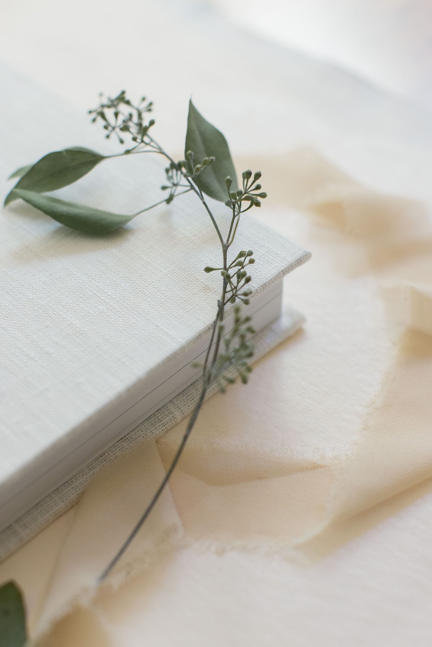 Wedding album with delicate eucalyptus sprigs creating natural decoration.