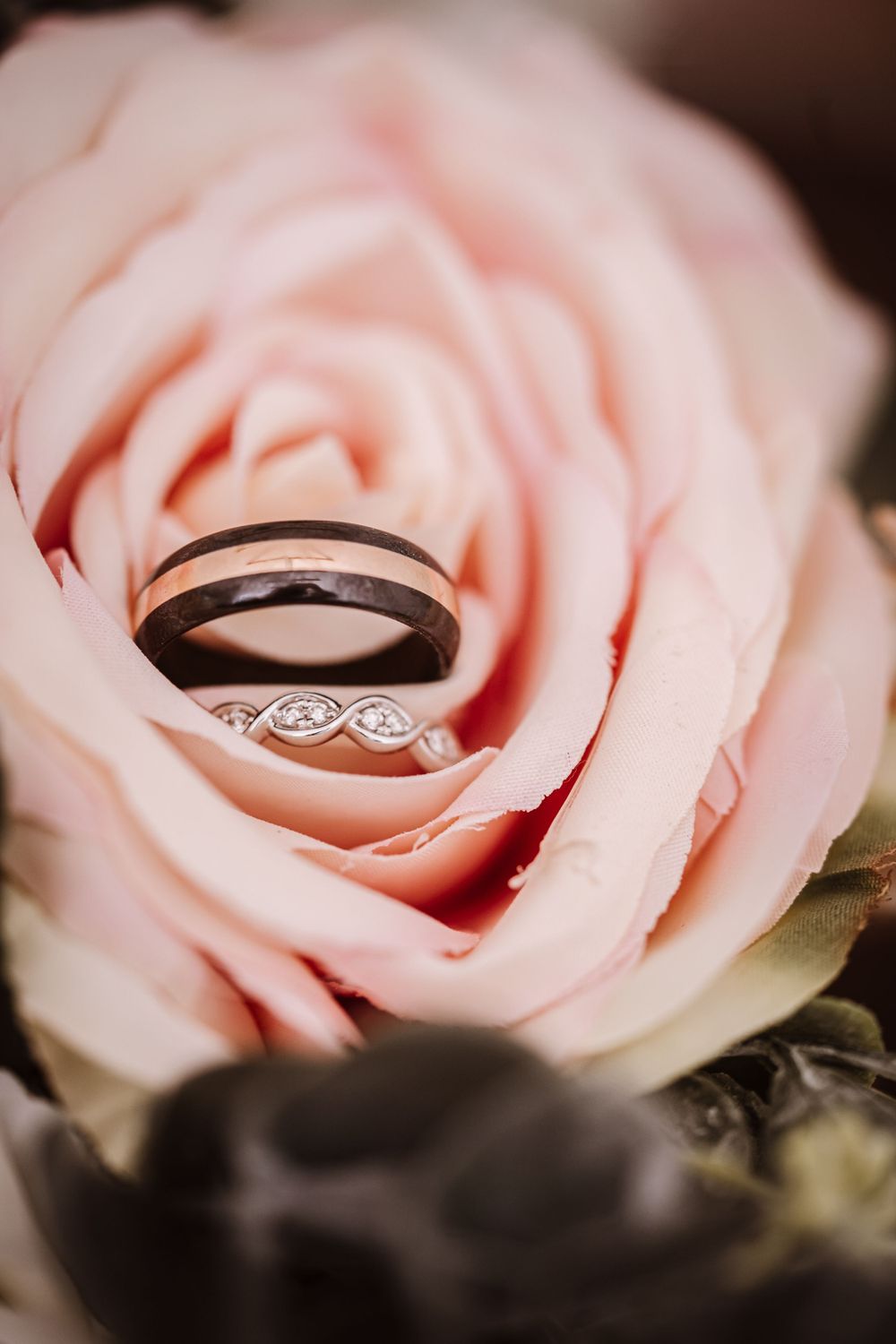 Close-up of wedding ring nestled inside a soft pink rose.