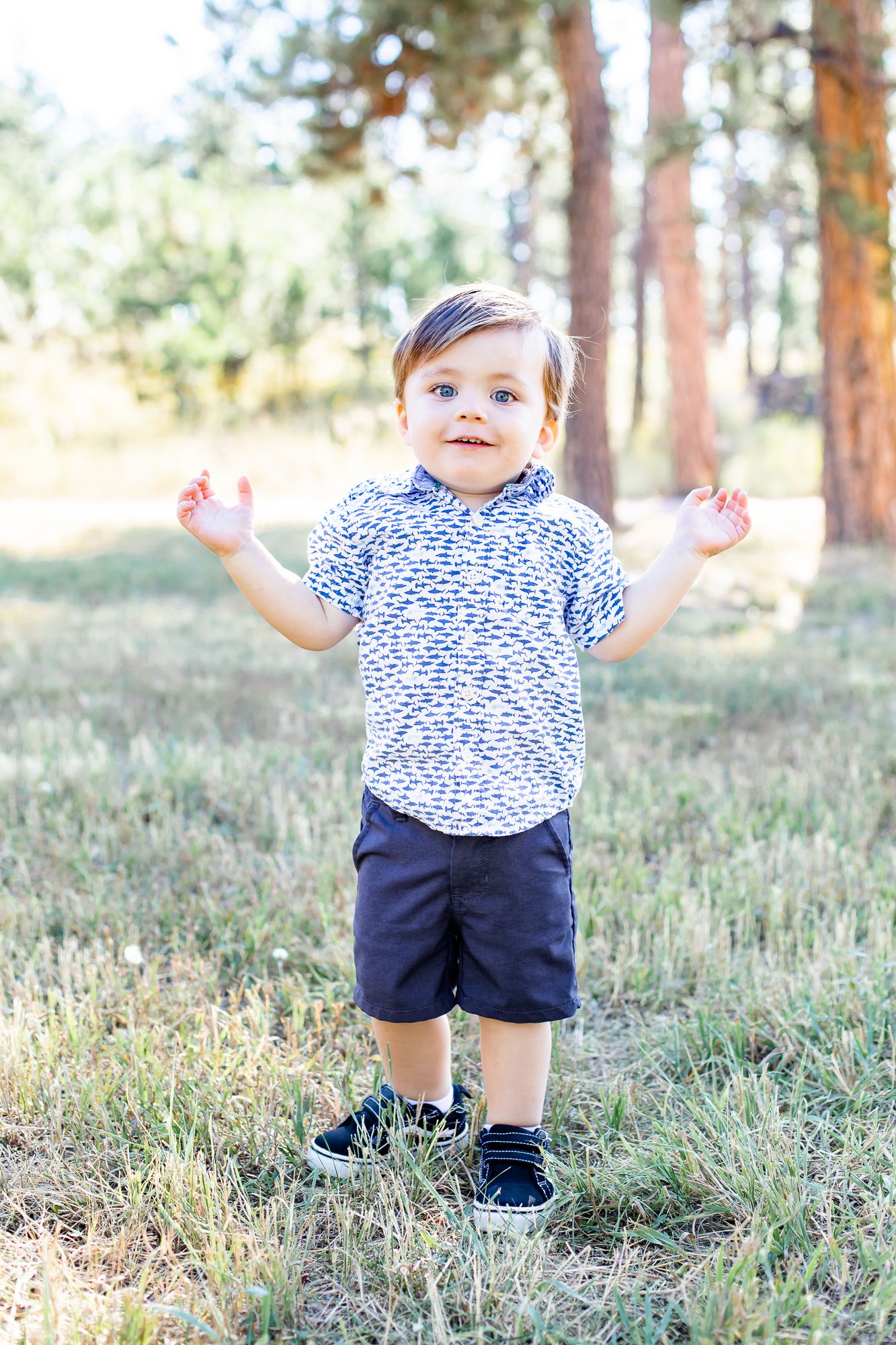 Toddler boy claps his hands and smiles in the grass in Black Forest, Colorado.