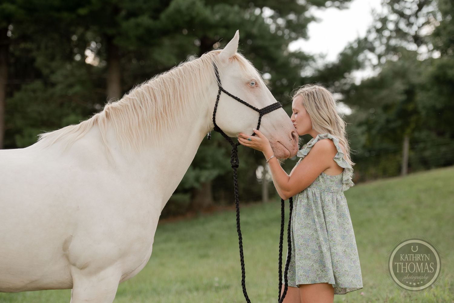 A stunning white horse with flowing mane poses in front of evergreen trees.