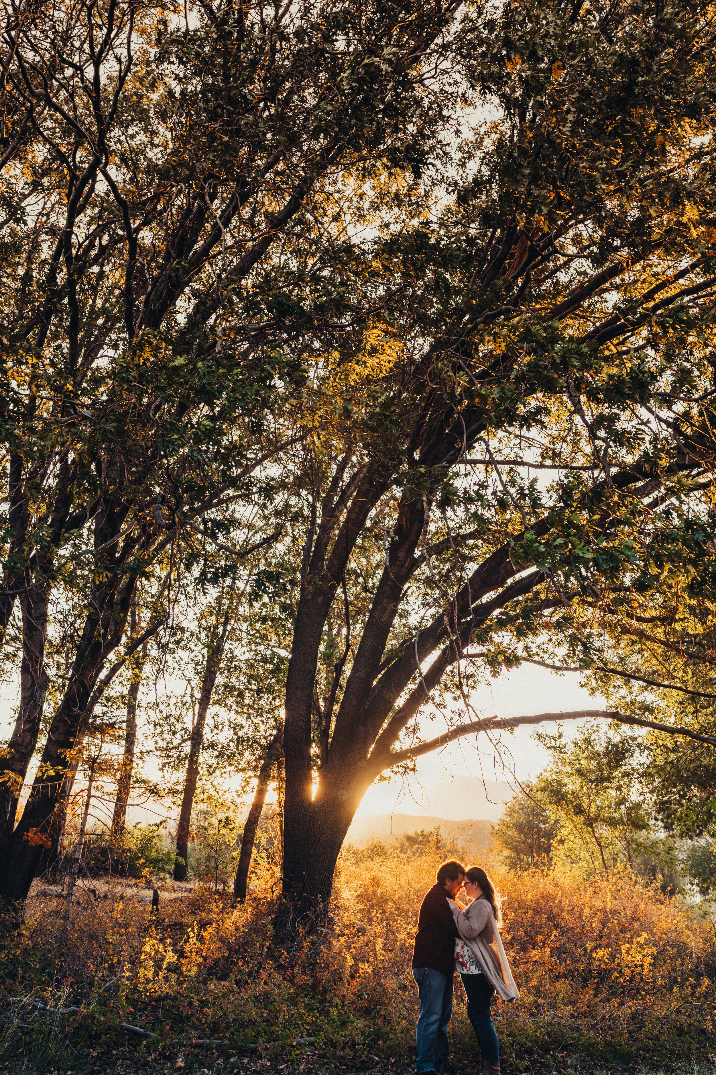 silver wood lakes California high desert photographer couples photographer