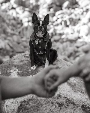 Joshua Tree national park couples photoshoot High Desert photographer Socal photographer