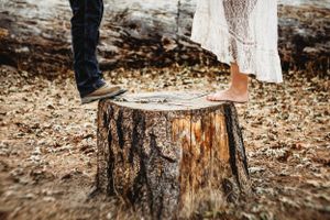 silver wood lakes California high desert photographer couples photographer