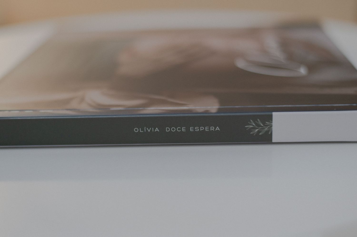 Close-up view of a book or album spine against a white surface.