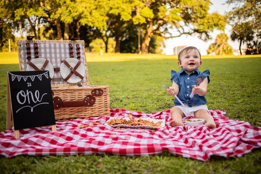 One year old baby girl sitting on red checkered blanket at park picnic birthday photo shoot.