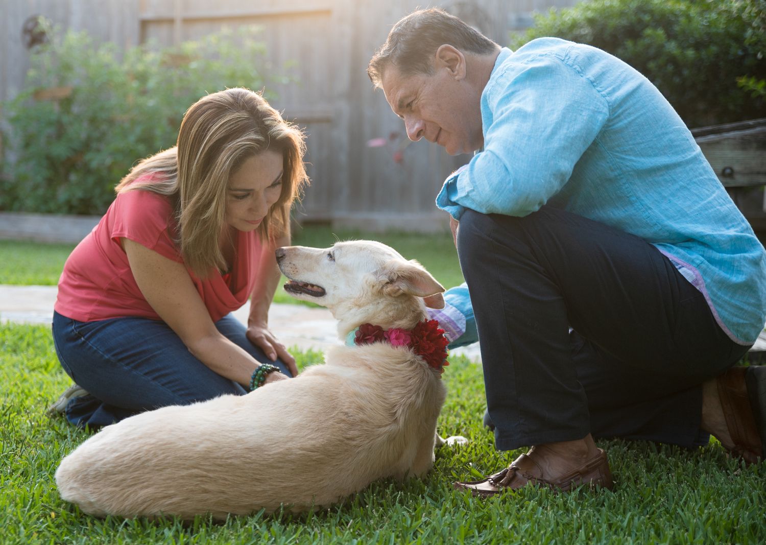 White dog receiving affectionate pets while lying in green grass.