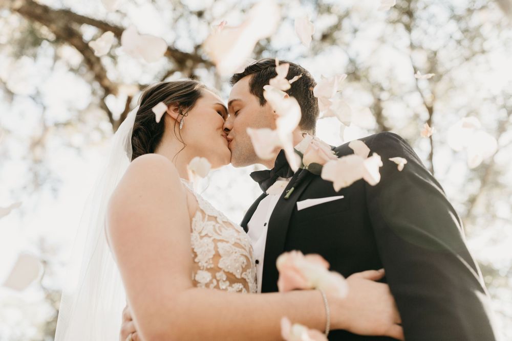 A romantic wedding kiss captured under blooming cherry blossoms with floating petals.