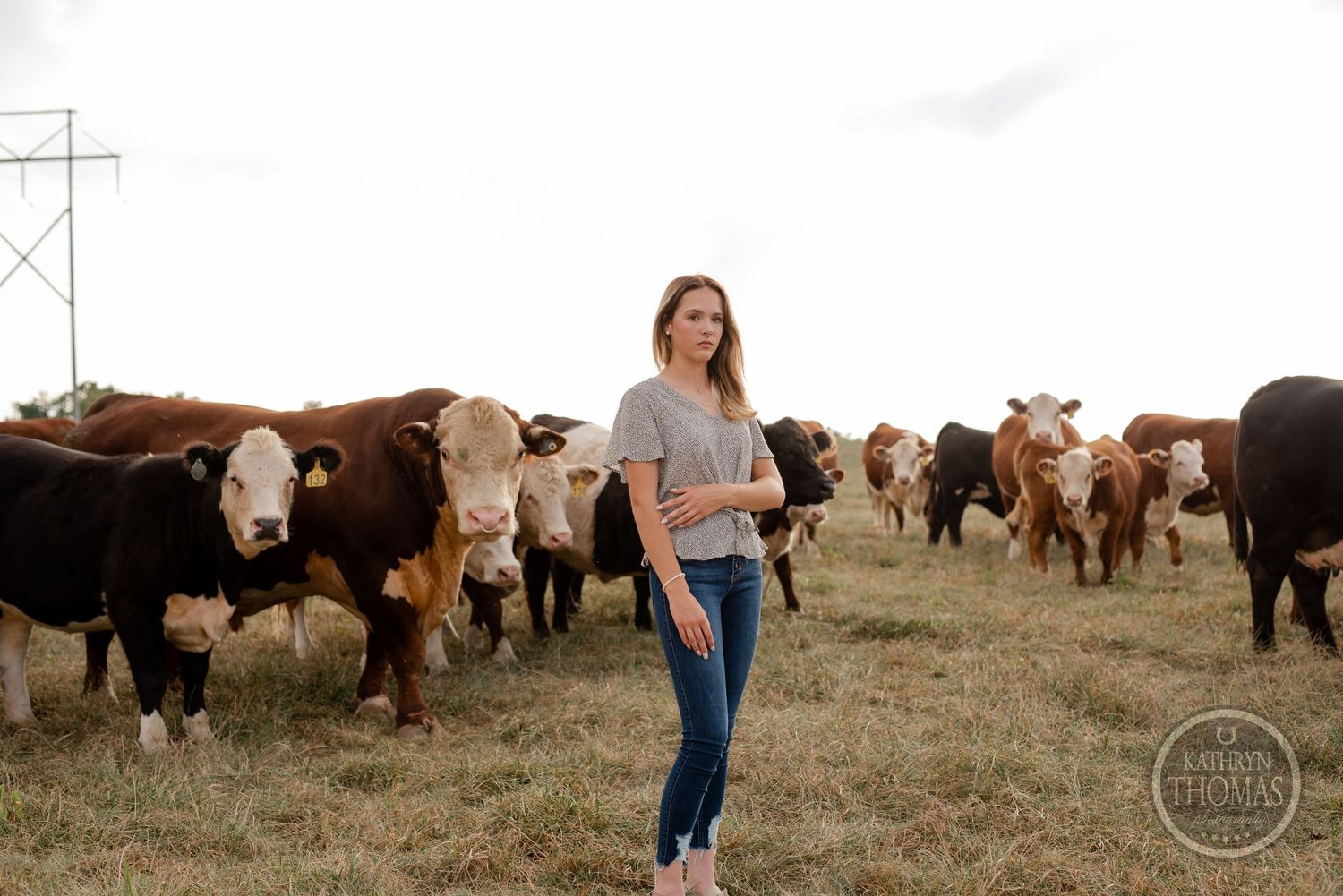 Country lifestyle shot with large herd of mixed breed cattle in background.