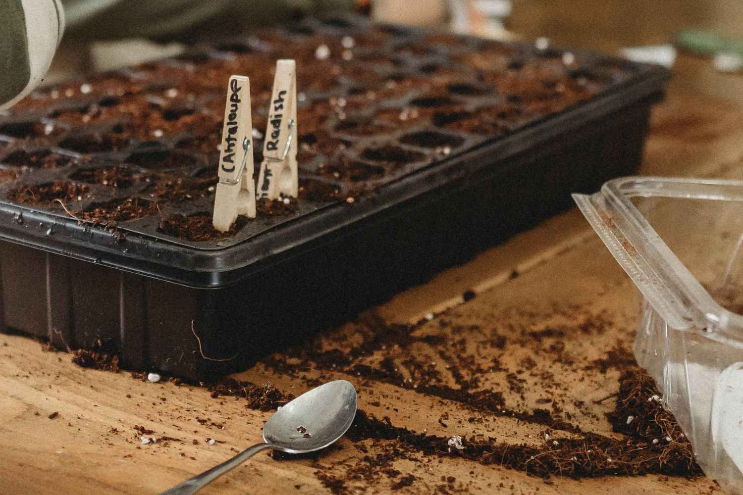 Close-up of black planting tray filled with soil and labeled seed markers.