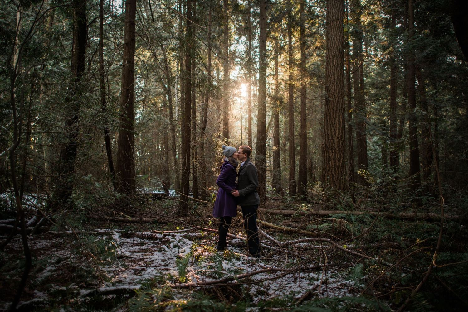 Sunlight filters through tall evergreen trees in misty Pacific Northwest forest.