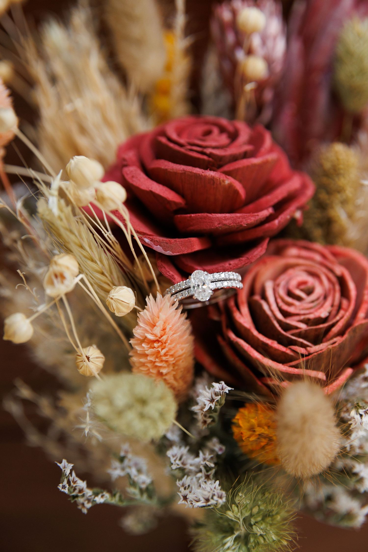 brenda hansen photography & design work