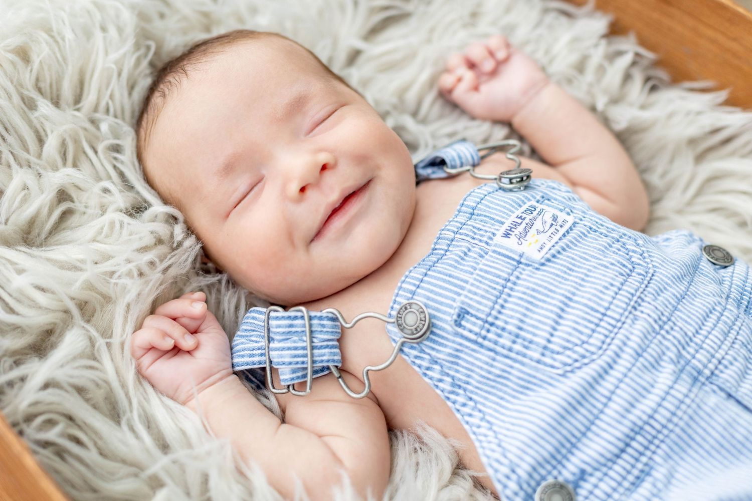 Newborn photoshoot, Thomet Stables, Ada, Michigan