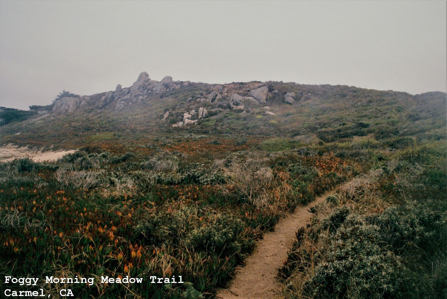 Foggy Morning Meadow Trail, Carmel Meadows, Carmel, CA