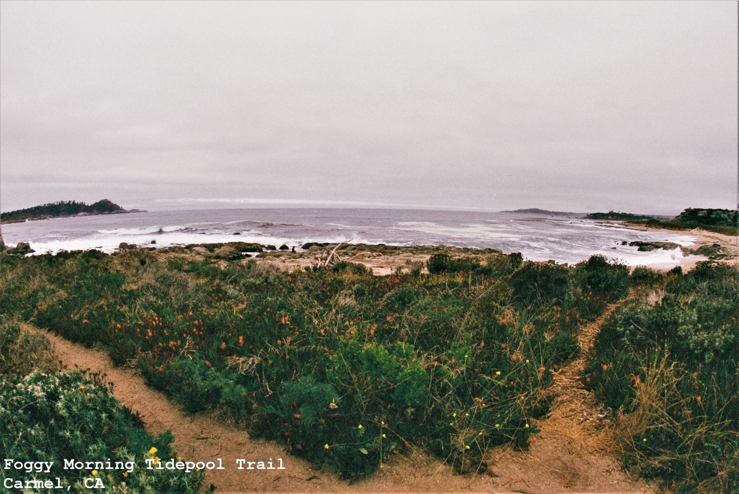 Foggy Morning Tide Pool Trail, Carmel Meadows, Carmel, CA
