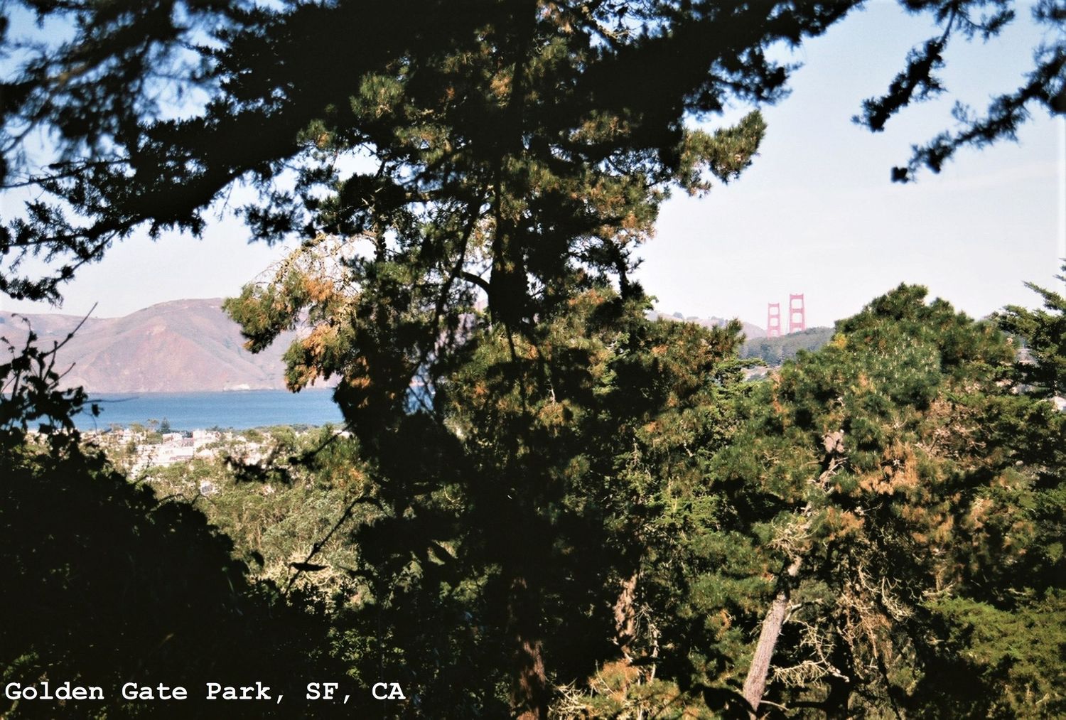 Golden Gate Park, San Francisco, CA