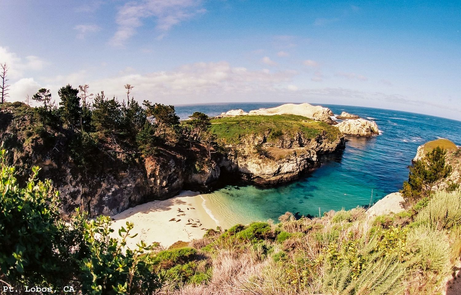 China Cove in Pt. Lobos State Park, Carmel, CA